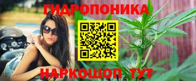 ECSTASY Шебекино
