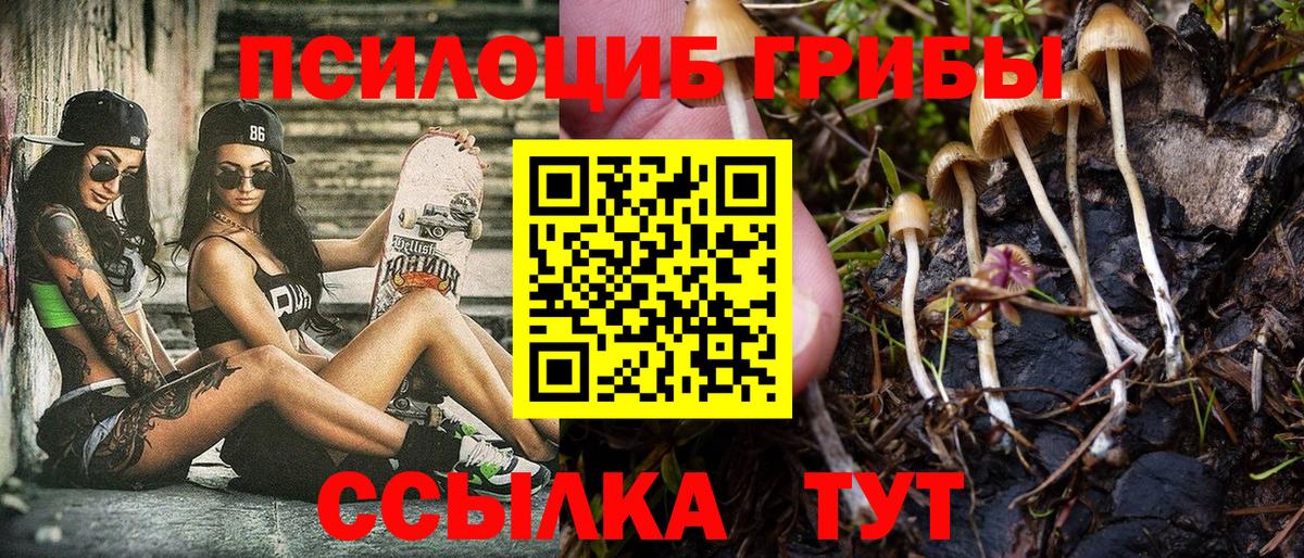 Галлюциногенные грибы Cubensis  Вход с VPN  Анжеро-Судженск 