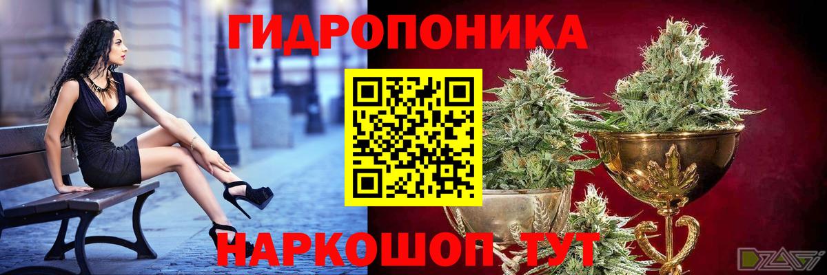 МАРИХУАНА конопля  Вход с VPN  Каннабис индика  МАРИХУАНА план  Анжеро-Судженск 